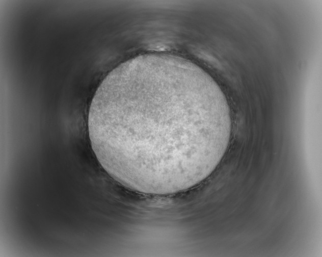 X0000088161446200705291901