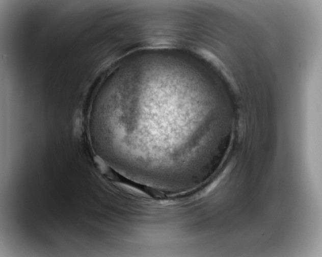X0000088161449200705291901