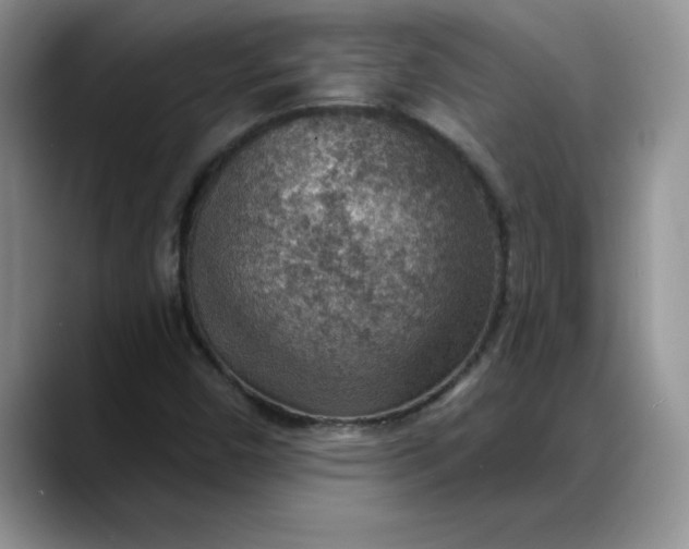 X0000088161450200705291901