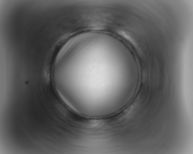 X0000088161451200705291901