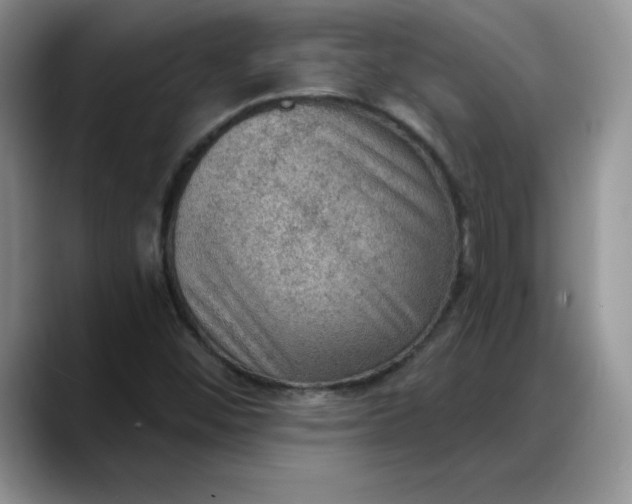 X0000088161452200705291901