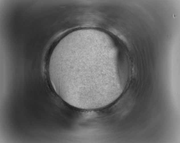 X0000088161454200705291901