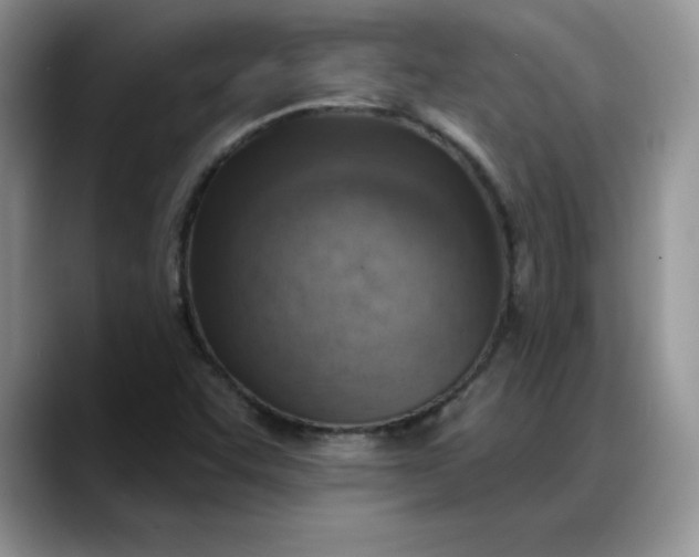 X0000088161455200705291901