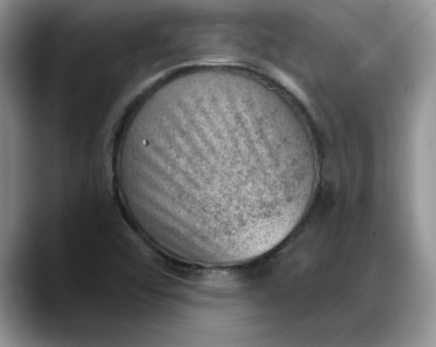 X0000088161456200705291901