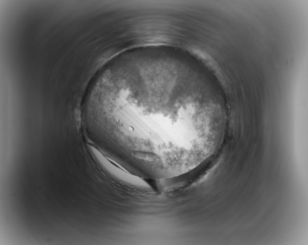 X0000088161457200705291901