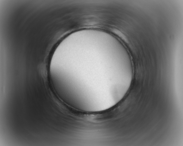 X0000088161458200705291901