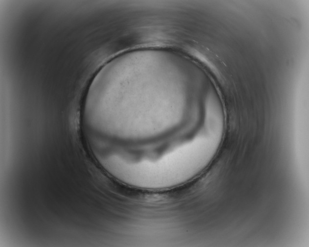 X0000088161459200705291901