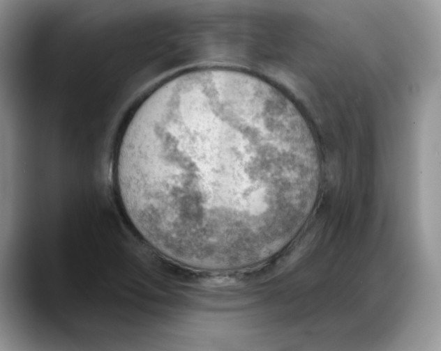 X0000088161462200705291901