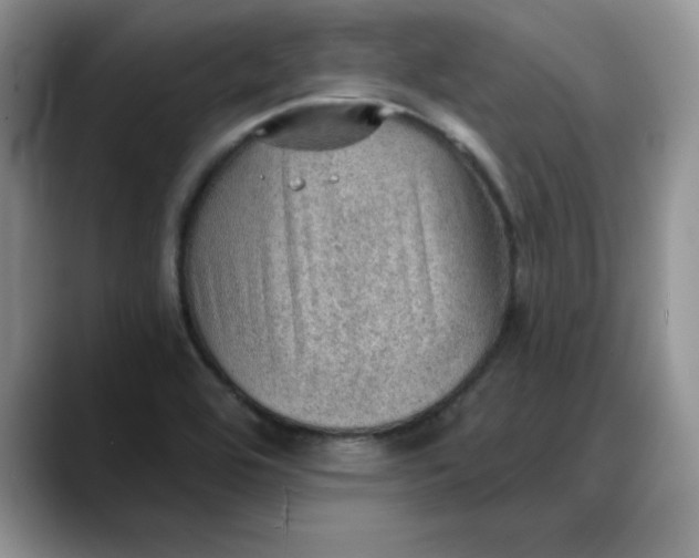 X0000088161464200705291901
