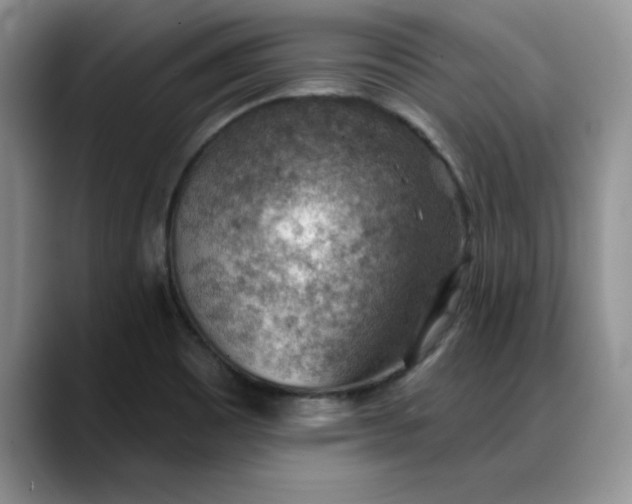 X0000088161465200705291901