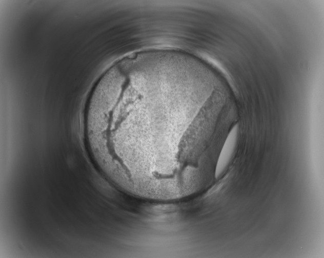 X0000088161467200705291901