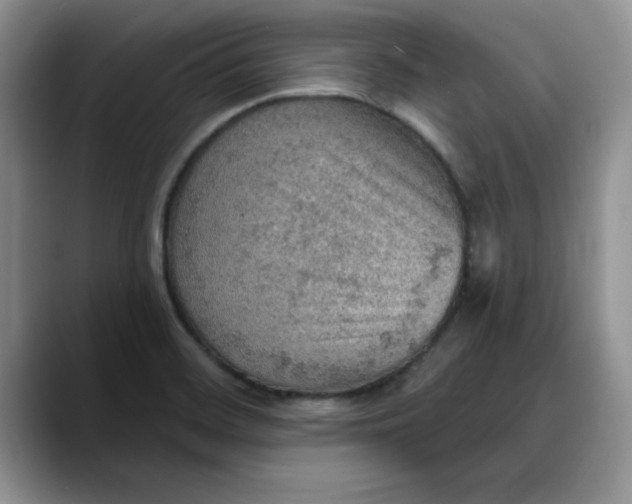 X0000088161468200705291901