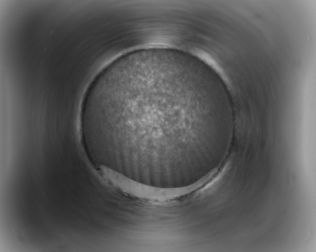 X0000088161469200705291901