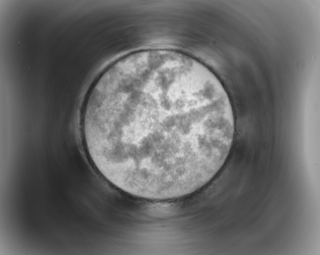 X0000088161470200705291901