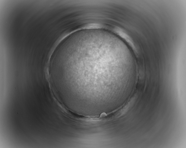 X0000088161473200705291901