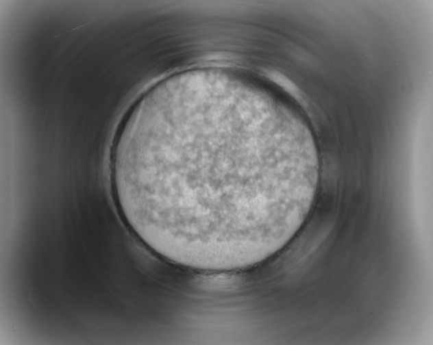 X0000088161474200705291901