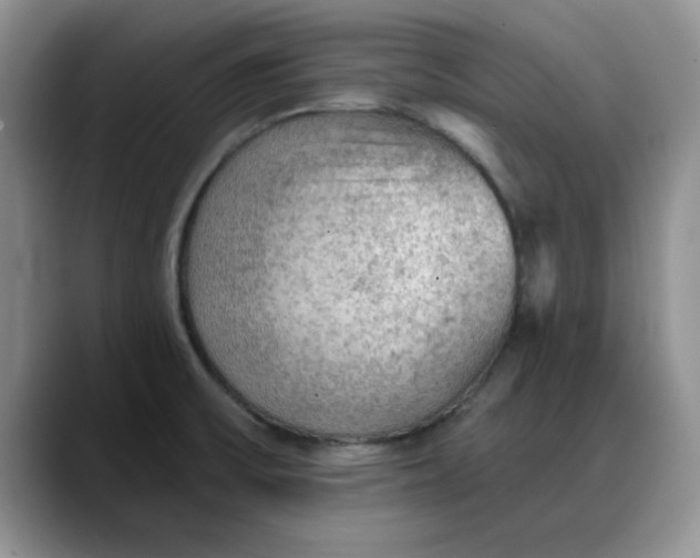 X0000088161475200705291901