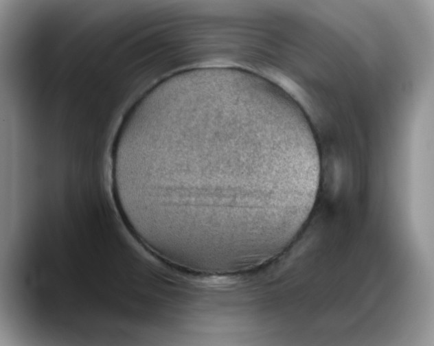 X0000088161476200705291901
