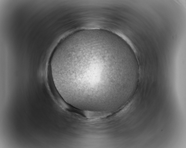 X0000088161477200705291901