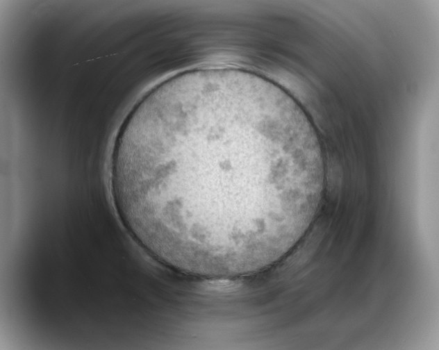 X0000088161478200705291901