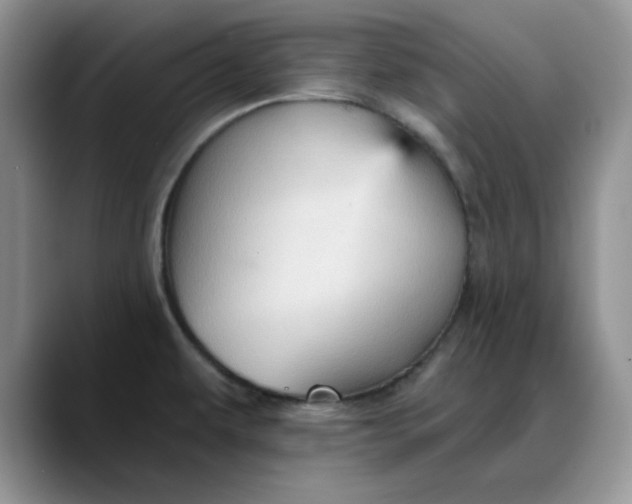 X0000088161479200705291901
