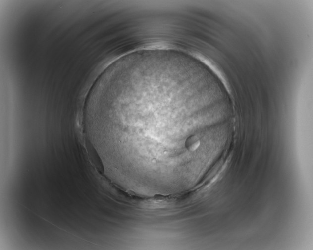 X0000088161481200705291901