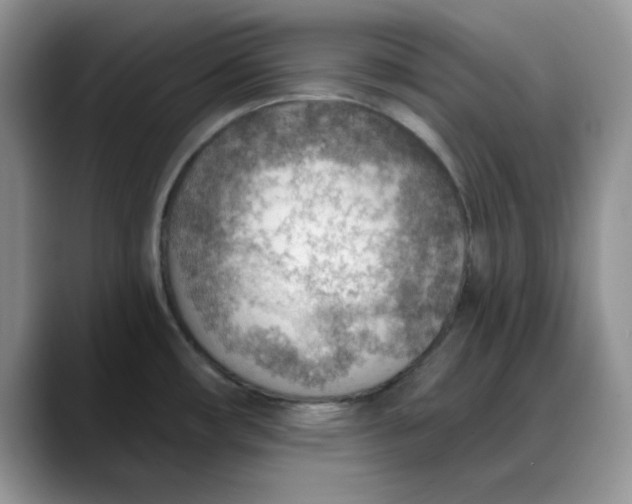 X0000088161482200705291901