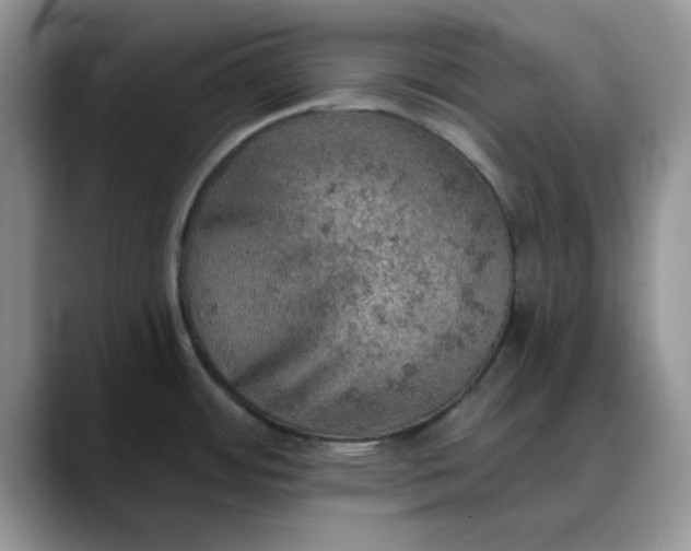 X0000088161484200705291901