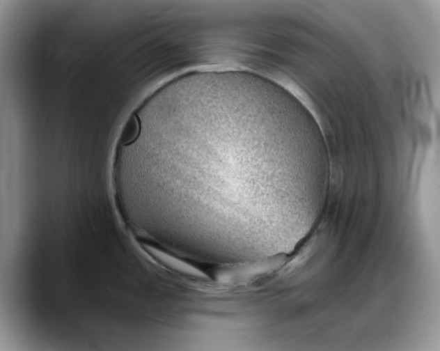X0000088161485200705291901