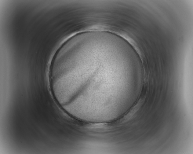 X0000088161486200705291901