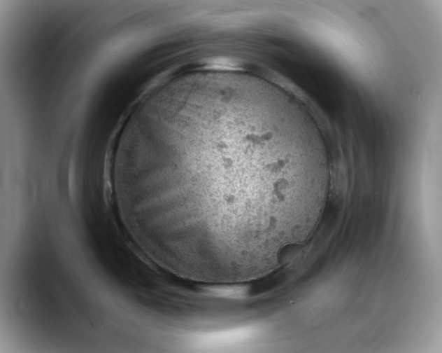 X0000088161487200705291901