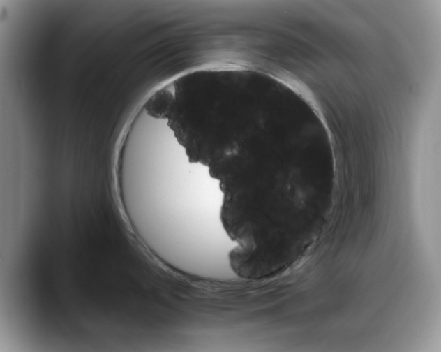 X0000088161488200705291901
