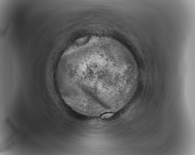 X0000088161489200705291900
