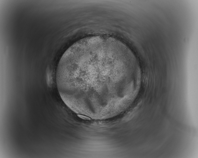 X0000088161490200705291900