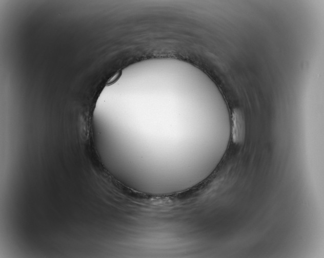X0000088161491200705291900