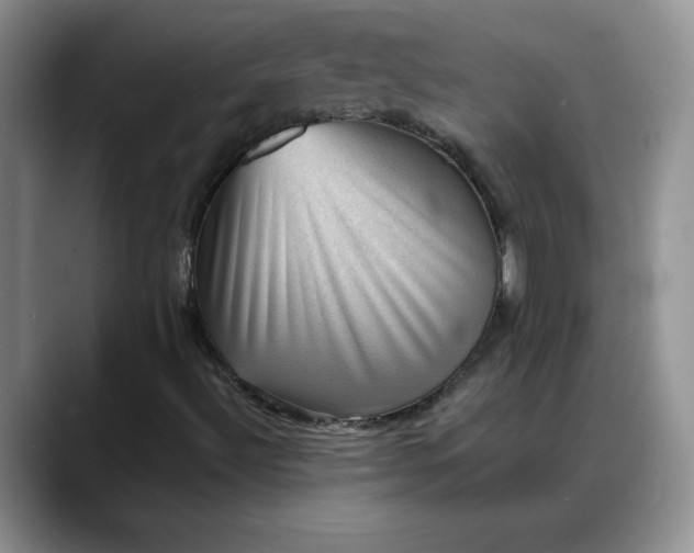 X0000088161492200705291900