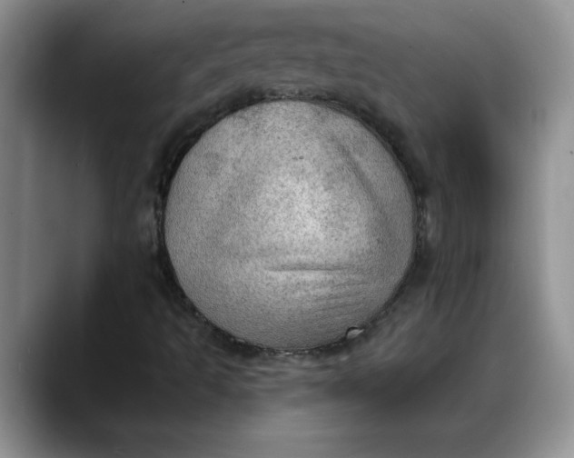 X0000088161493200705291900