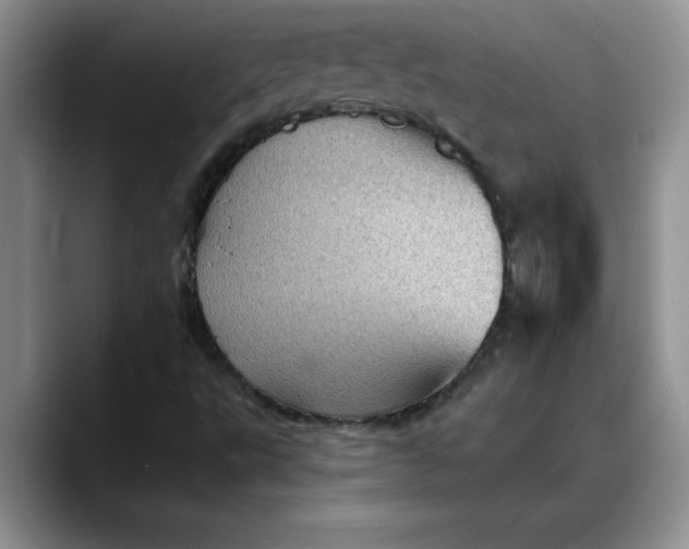 X0000088161495200705291900