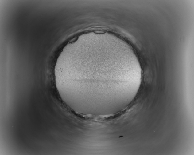 X0000088161496200705291900