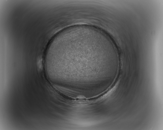X0000088161497200705291900
