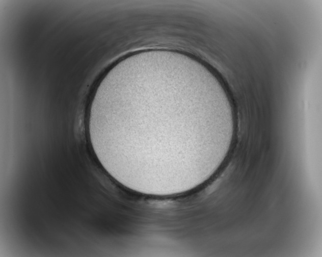 X0000088161498200705291900