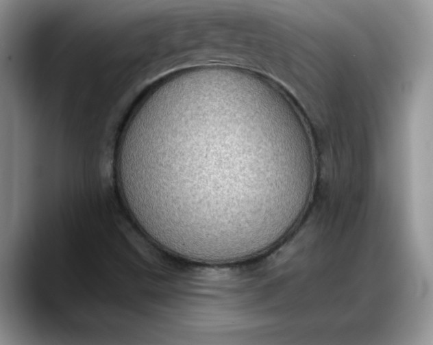 X0000088161499200705291900