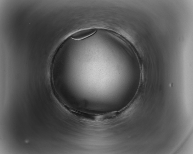 X0000088161500200705291900