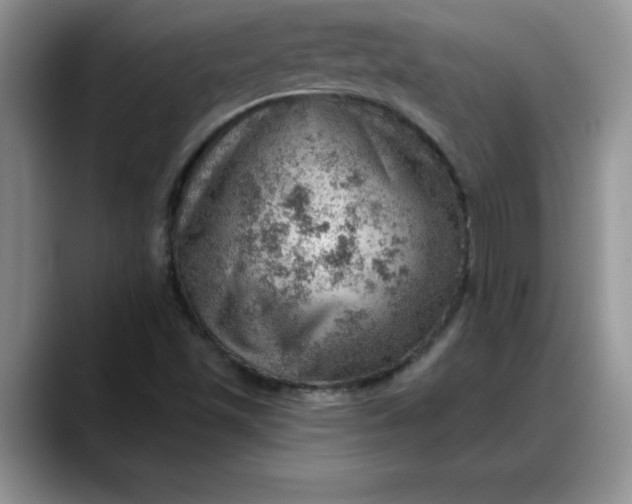 X0000088161501200705291900