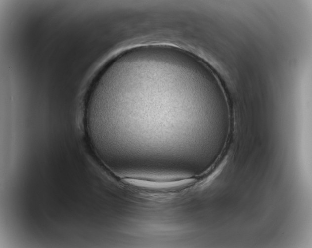 X0000088161502200705291900
