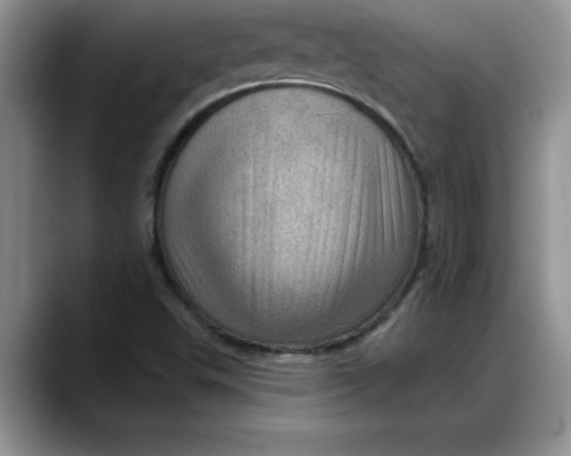X0000088161503200705291900