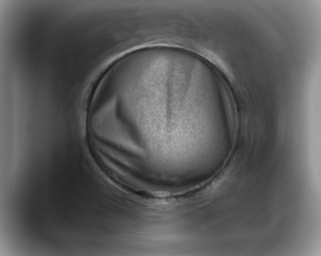 X0000088161504200705291901