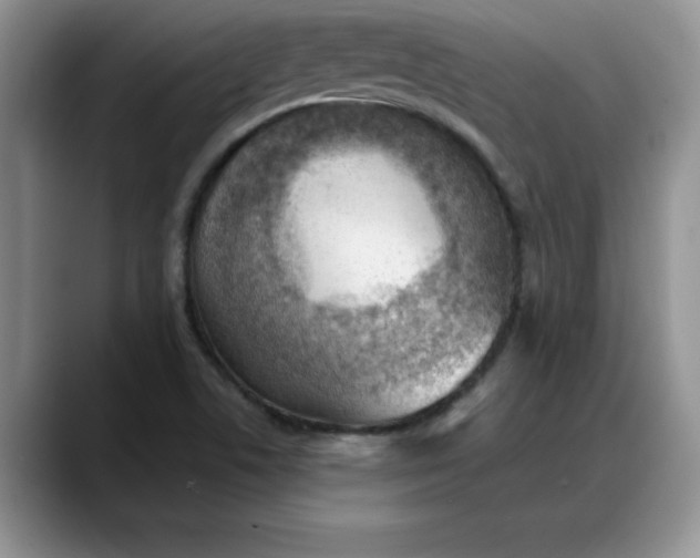 X0000088161506200705291901