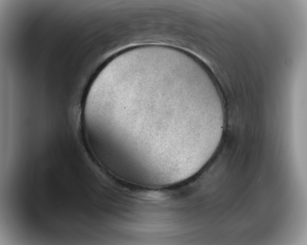 X0000088161507200705291901