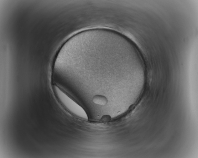 X0000088161508200705291901